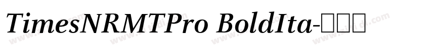 TimesNRMTPro BoldIta字体转换